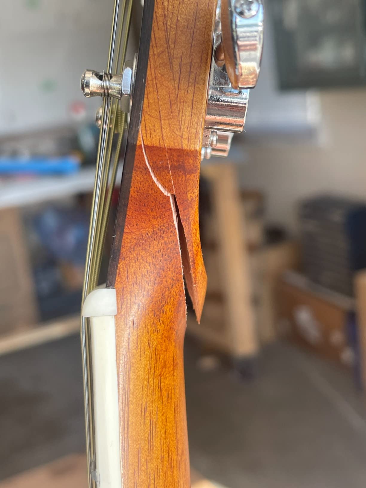 Orangewood Dana Mini/Travel Acoustic Guitar with Spruce Top, Junior 3/4 Size customer photo 1