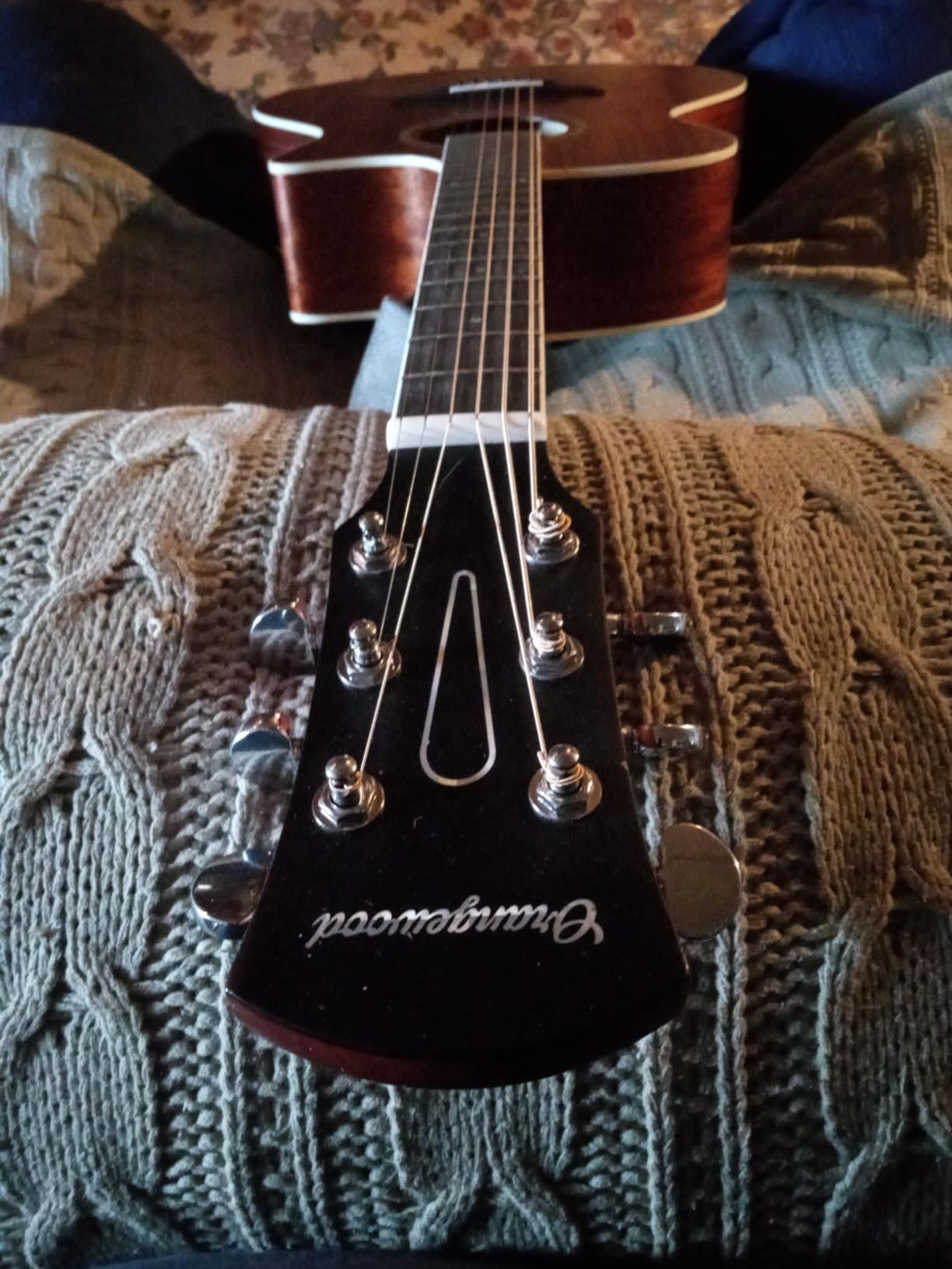 Orangewood Rey Cutaway Acoustic with Mahogany Top, Padded Gig Bag, Accessory Kit Including Strap, Tuner, Picks, Capo customer photo 1