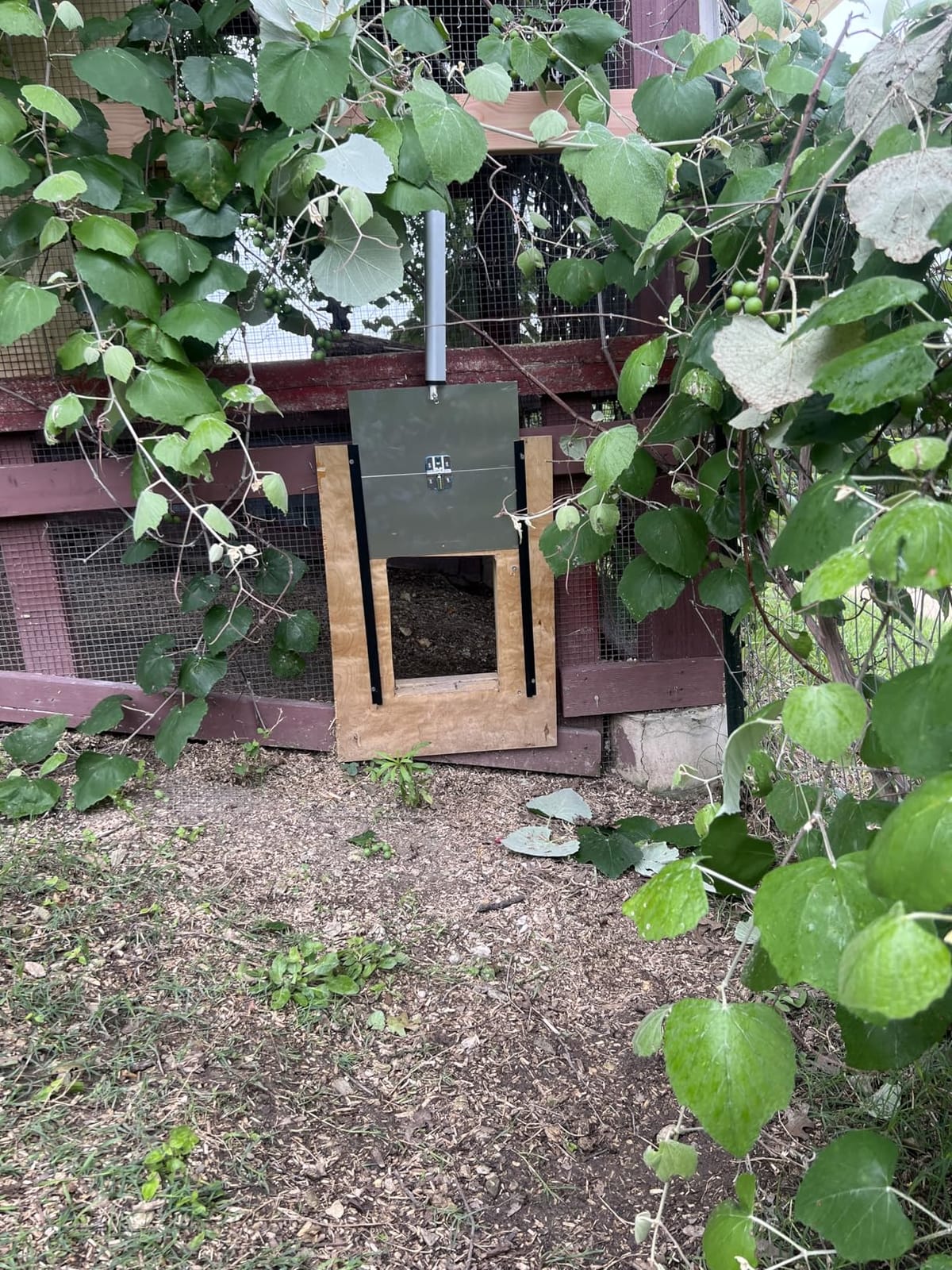 JVR Automatic Chicken Coop Door, Timer, Anti-Pinch, Aluminum Predator Proof customer photo 2