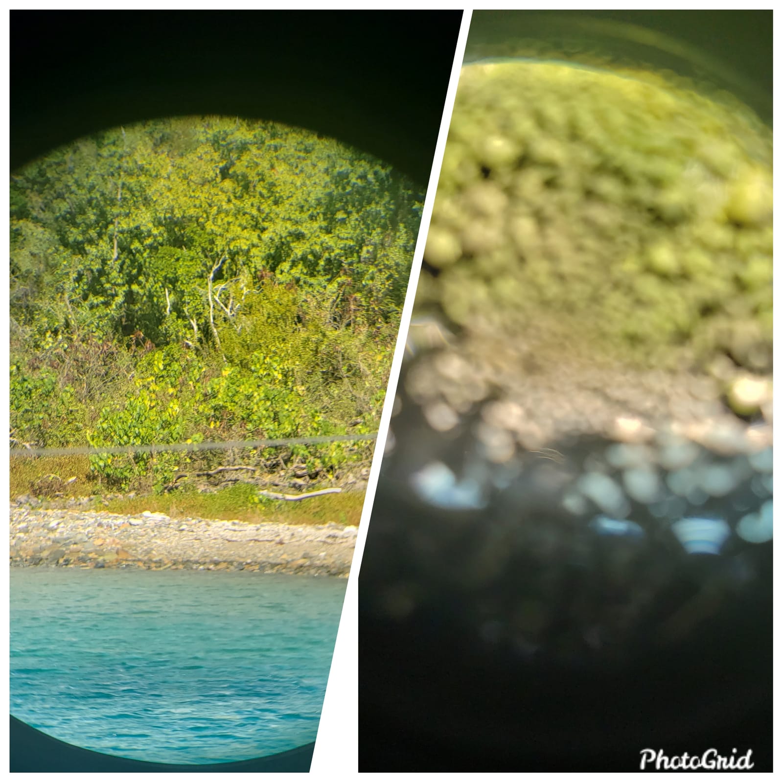 ESSLNB 7x50 Marine Binoculars, IPX7 Waterproof with Compass & Rangefinder customer photo 2