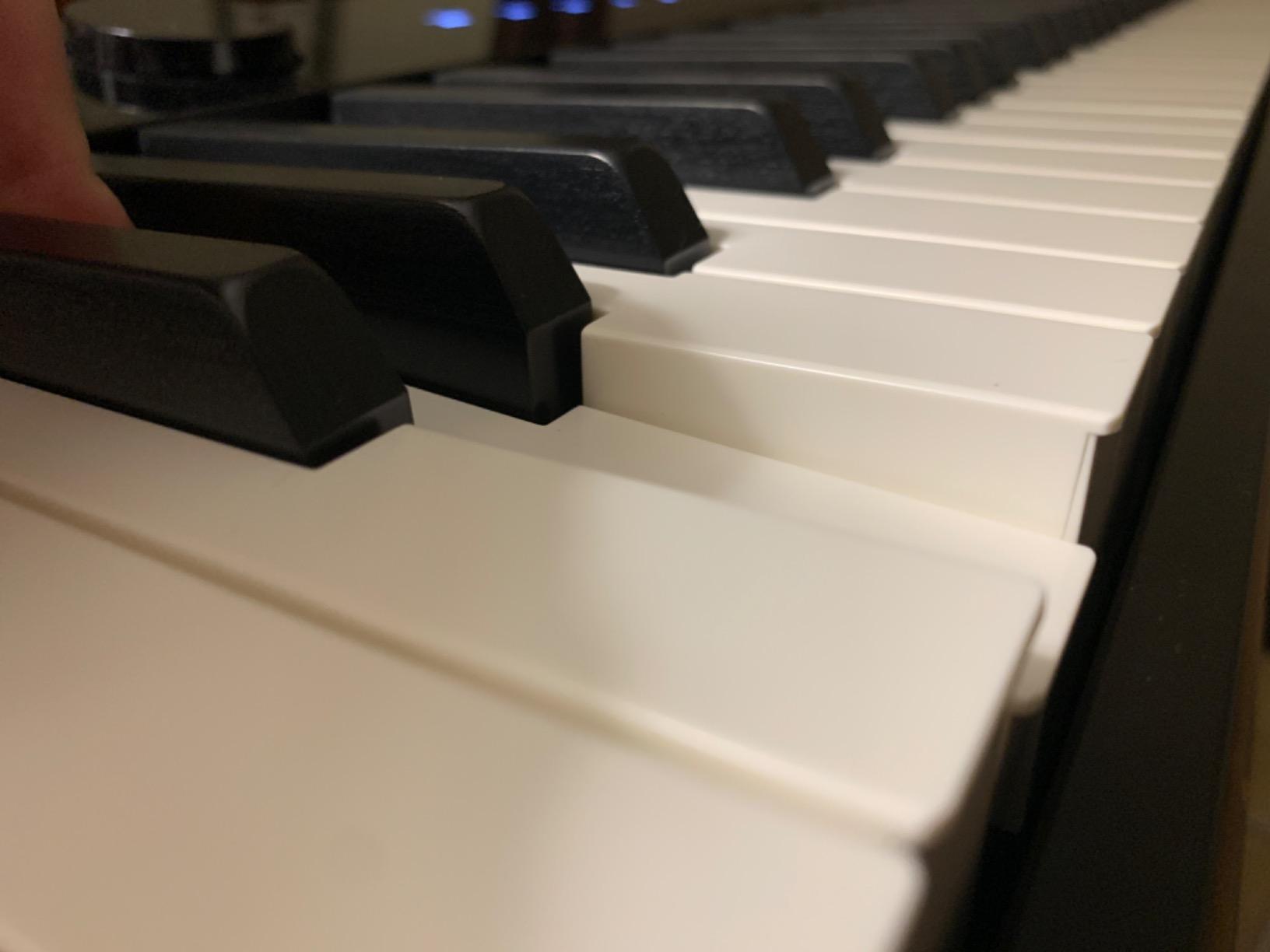 Casio 88-Key Digital Pianos - Home (PX-S1000WE) customer photo 1