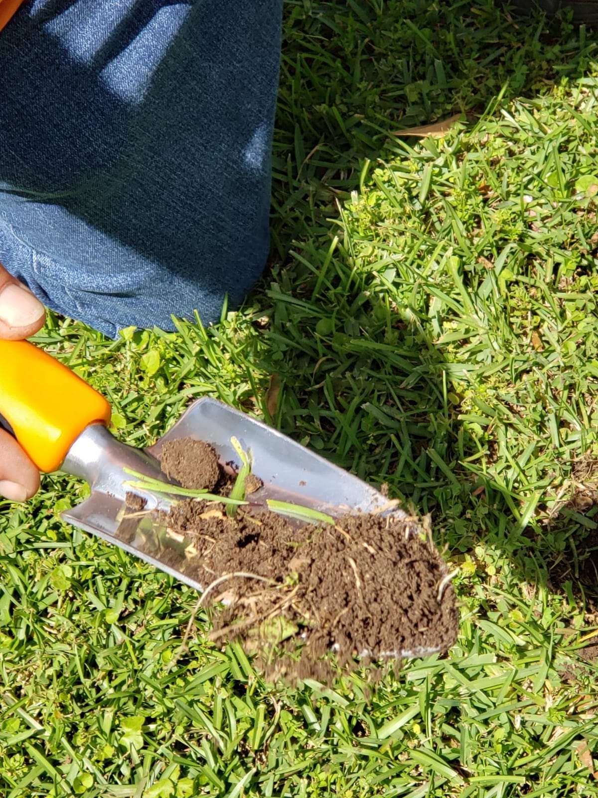 Soil Test Kit - Discover Your Lawn and Garden Fertility with pH, Nutrient and Mineral Analysis. Professional Results Provide Custom Fertilizer Prescription for Your Yard. customer photo 2