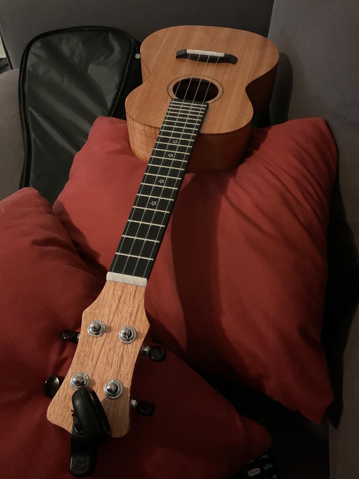 Enya EUC-25D 23 Inch Concert Ukulele, Solid Mahogany Top, Blue | Beginner Ukulele Kit with Gig Bag, Capo, Tuner, Strap and Picks customer photo 1