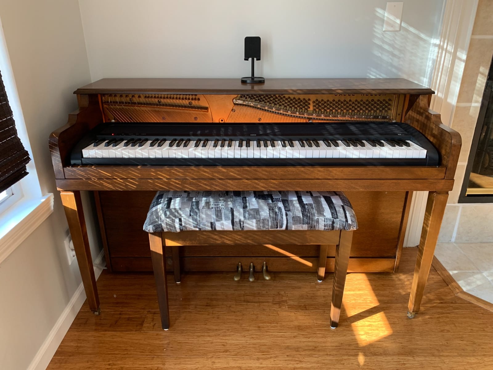 Korg B2 88-Key Digital Piano w/Audio - Software Included - Black customer photo 1