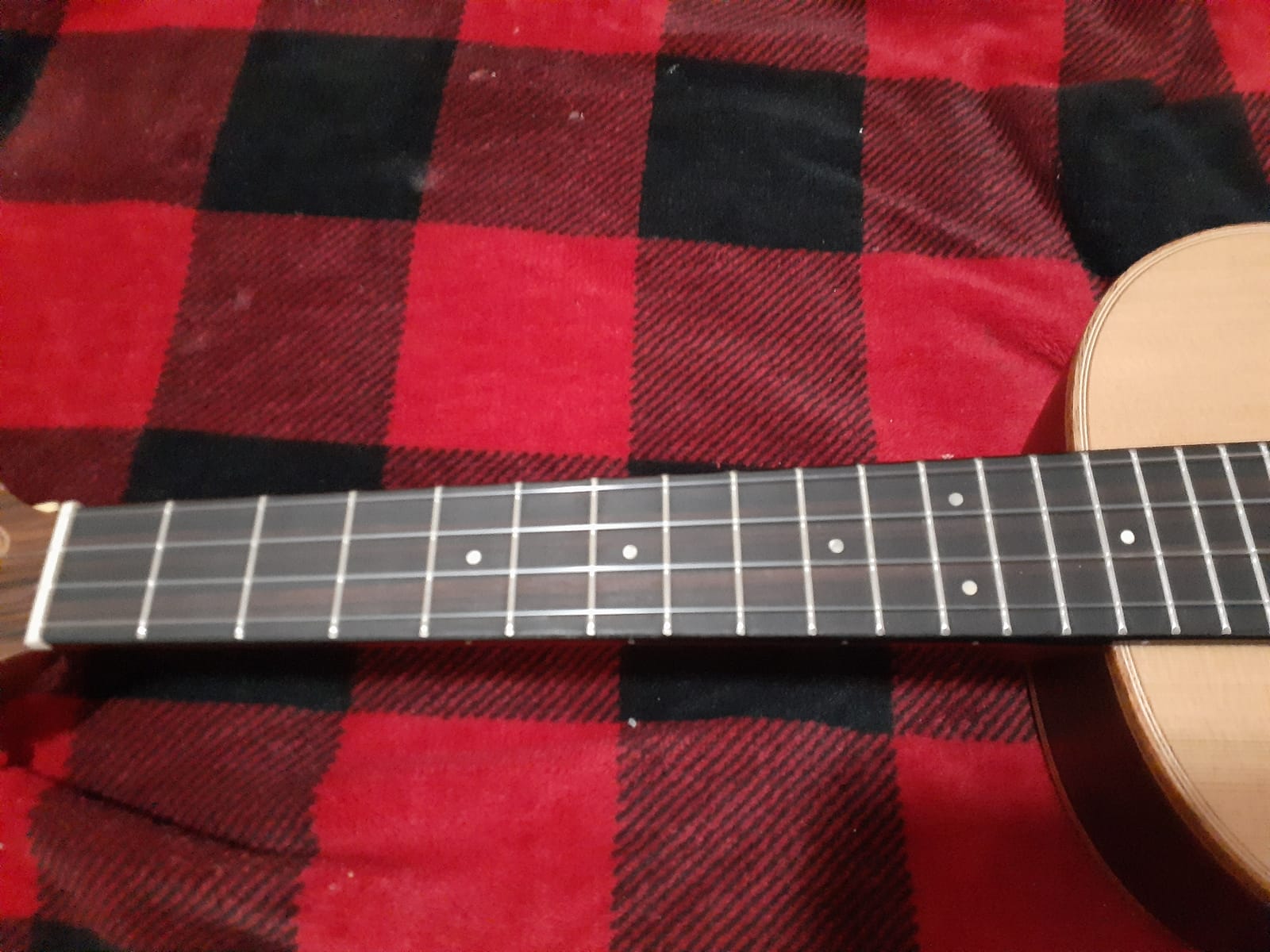 Kala KA-ASCP-T Solid Cedar Top Pau Ferro Tenor Ukulele customer photo 2