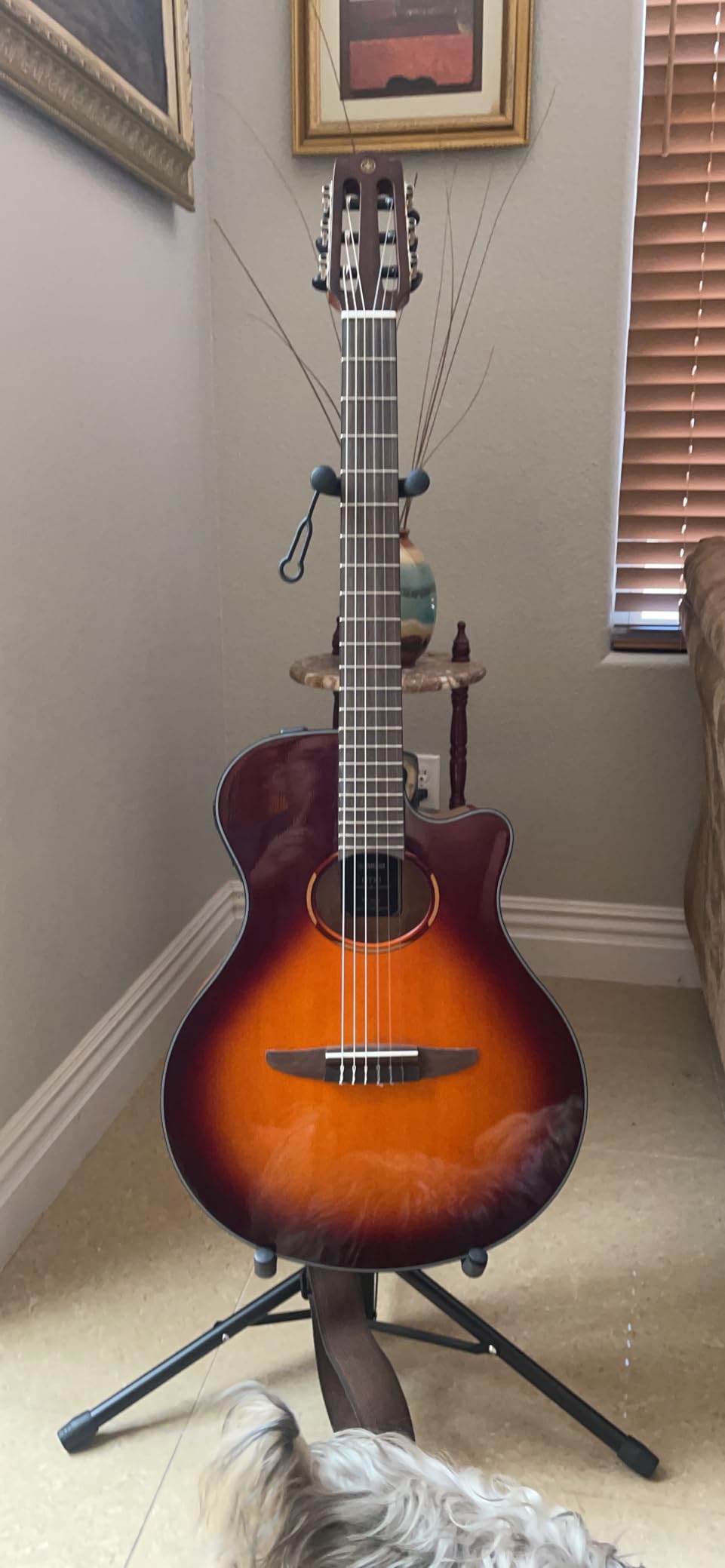 Yamaha NTX1 BS Cutaway Acoustic-Electric Nylon-String Classical Guitar, Brown Sunburst customer photo 1