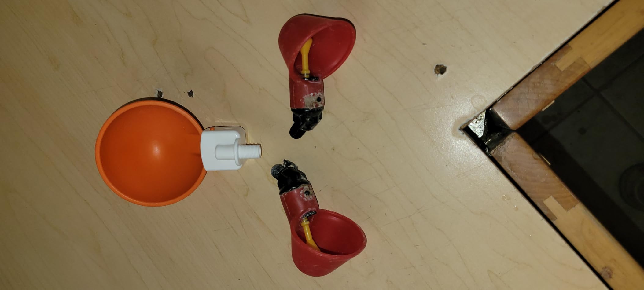 Lil'Clucker Large Automatic Chicken Waterer Cups | Chicken Water Feeder Suitable for Chicks, Duck, Goose, Turkey and Bunny | Poultry Water Feeder Kit (Orange, 5-Pack) customer photo 1