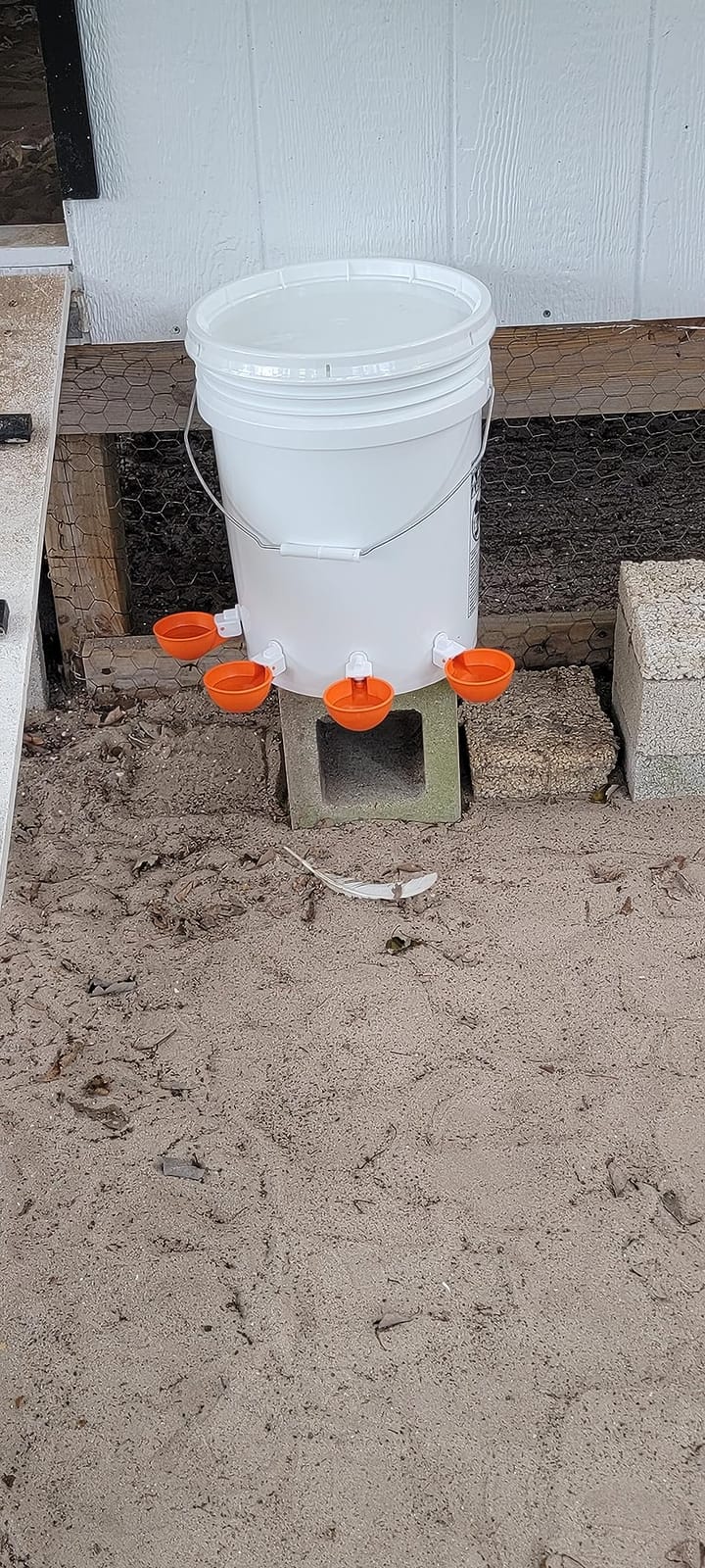 Lil'Clucker Large Automatic Chicken Waterer Cups | Chicken Water Feeder Suitable for Chicks, Duck, Goose, Turkey and Bunny | Poultry Water Feeder Kit (Orange, 5-Pack) customer photo 2