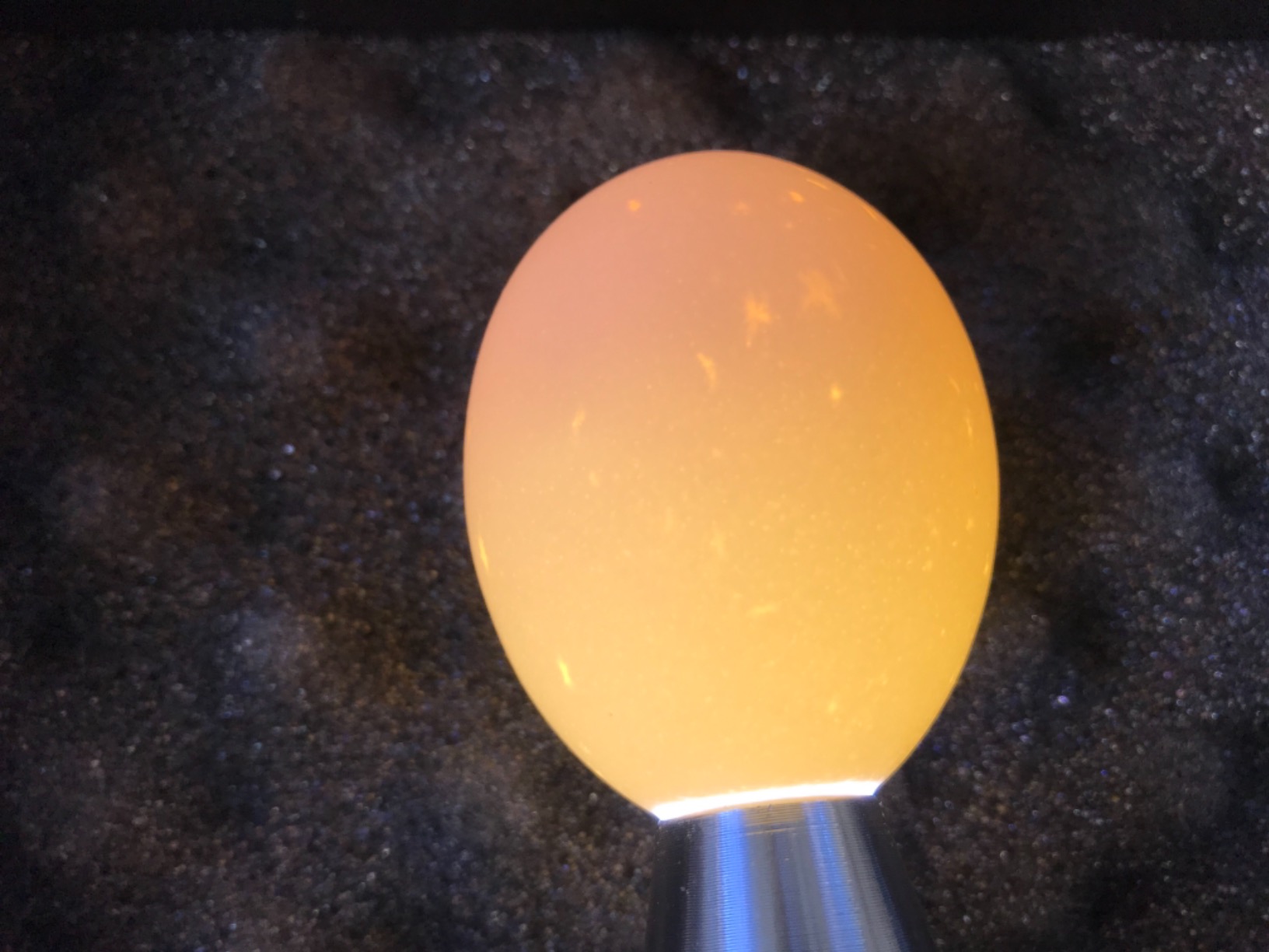 Egg Candler Light Tester Egg Candler Tester Candling Lamp for All Egg Typy customer photo 1