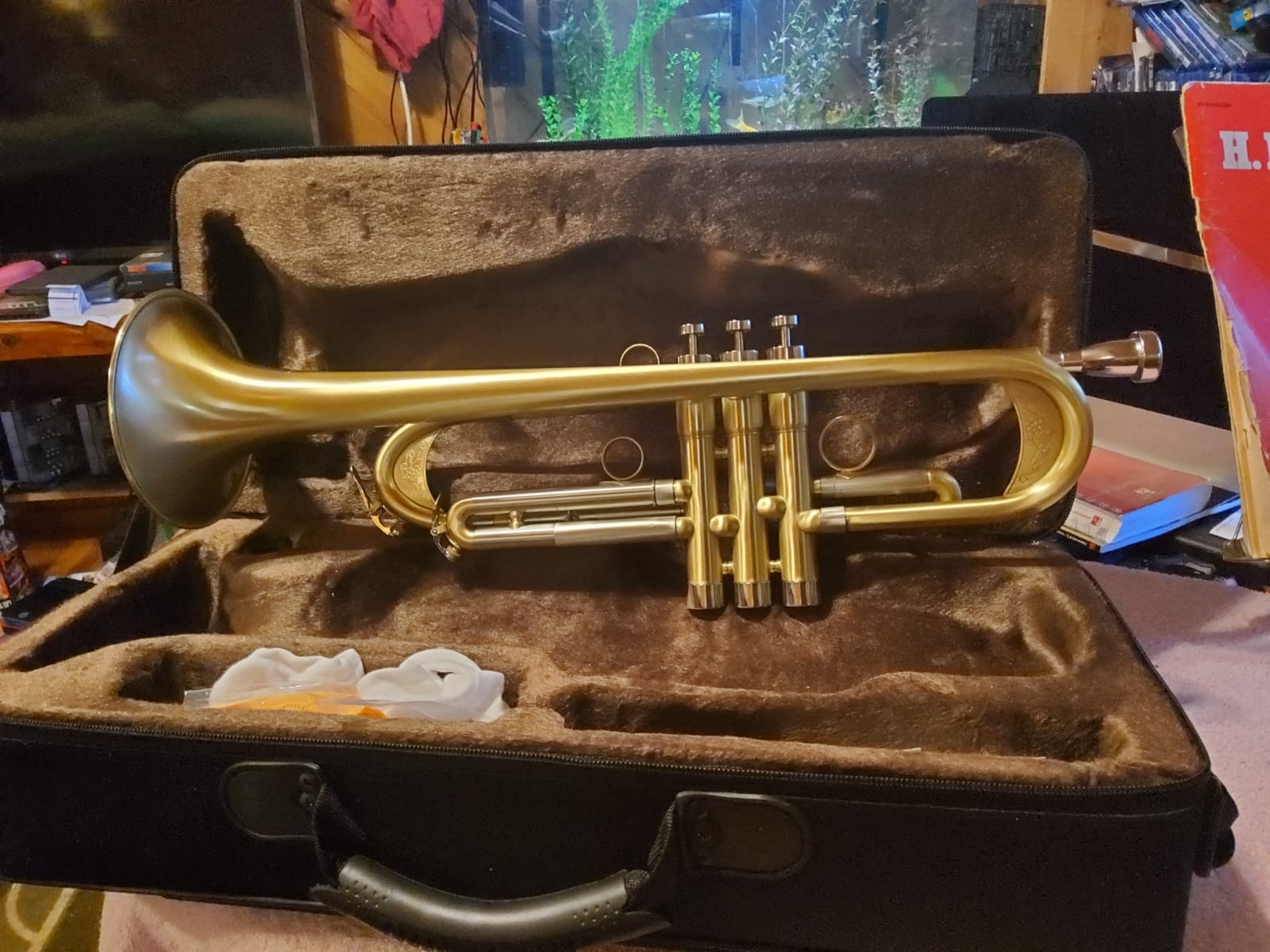 ROWELL Bb Trumpet Brushed Finish Standard Brass Trumpet Set Professional B Flat Trumpets with Deluxe Hard Case, Gloves, Stand and 7C Mouthpiece, Ideal for Jazz & Street Performance customer photo 2