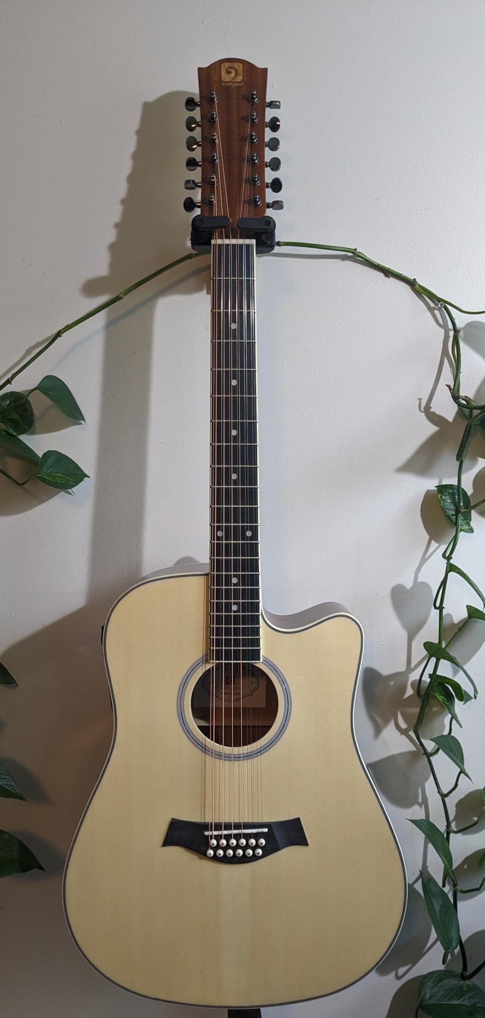 Vangoa 12 String Guitar Acoustic Electric, Upgraded Guitar 12 Strings Bundle for Beginner Intermediate Adults Teens, Guitarra de 12 Cuerdas, Sapele Body Bone Nut, Brown Glossy customer photo 1
