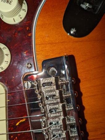 Fender American Professional II Stratocaster - 3 Color Sunburst with Maple Fingerboard customer photo 2