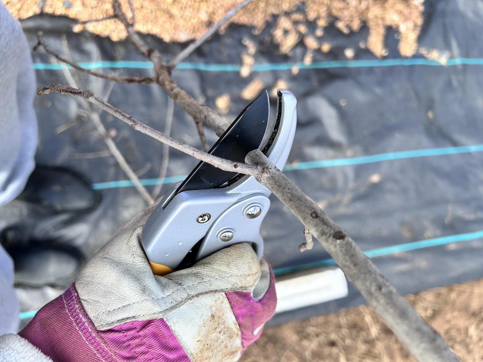 Germany Pruning Shears, Arthritis Weak Hand Snips, Pruners 4x Cutting Power Trimming, 1-Inch Cut Capacity Garden Clippers, Ergonomic, Durable and Sturdy, Sharp Scissors Gardening Tools customer photo 1