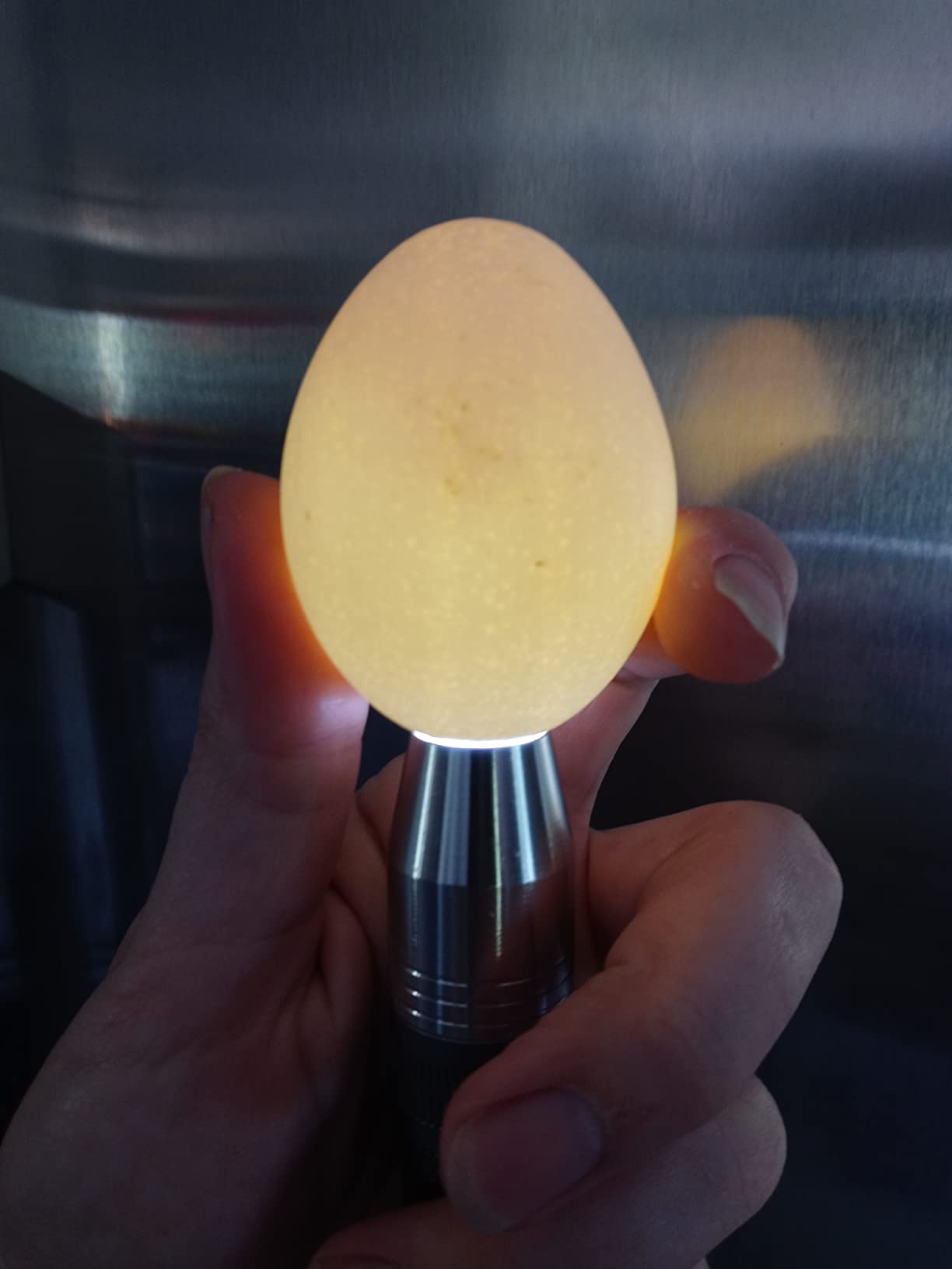 Egg Candler for Chicken Eggs, Rechargeable USB Egg Candling Light customer photo 2