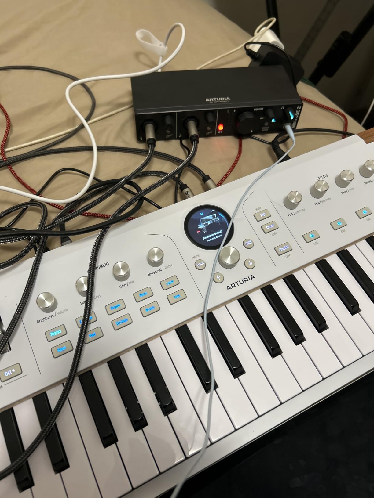 Arturia MiniFuse USB Audio & MIDI Interface, MiniFuse 2 | Record voice guitar and synths, best-in-class sound specs, pair with any microphone, Ableton Live Lite, 5-year warranty customer photo 2