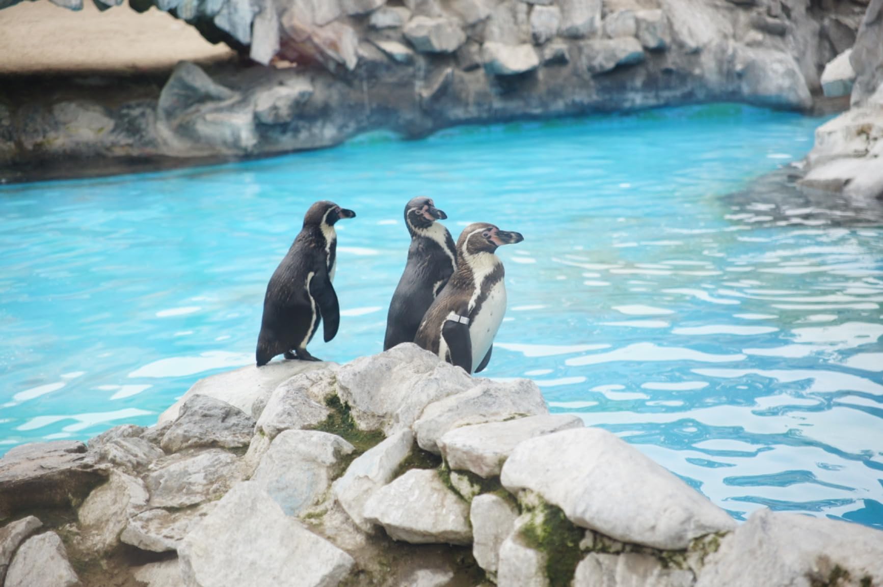 Sigma 18-50mm F2.8 DC DN Contemporary Zoom Lens (for E Mount), Black customer photo 2