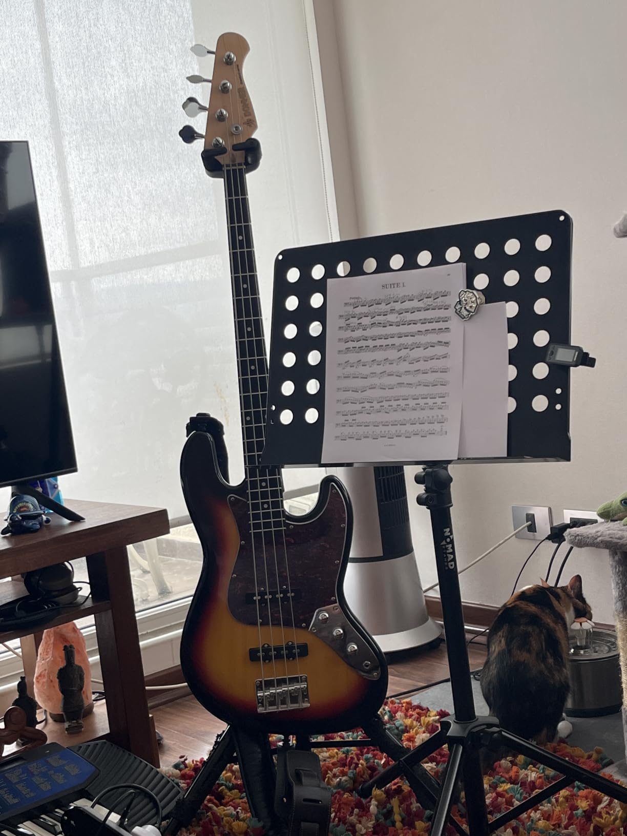 Donner Electric Bass 4 Strings Full-Size Guitar Kit JB-Style | Standard Bass Beginner Kit Sunburst for Starter with Free Online Lesson Gig Bag Guitar Strap and Guitar Cable, DJB-510 customer photo 1