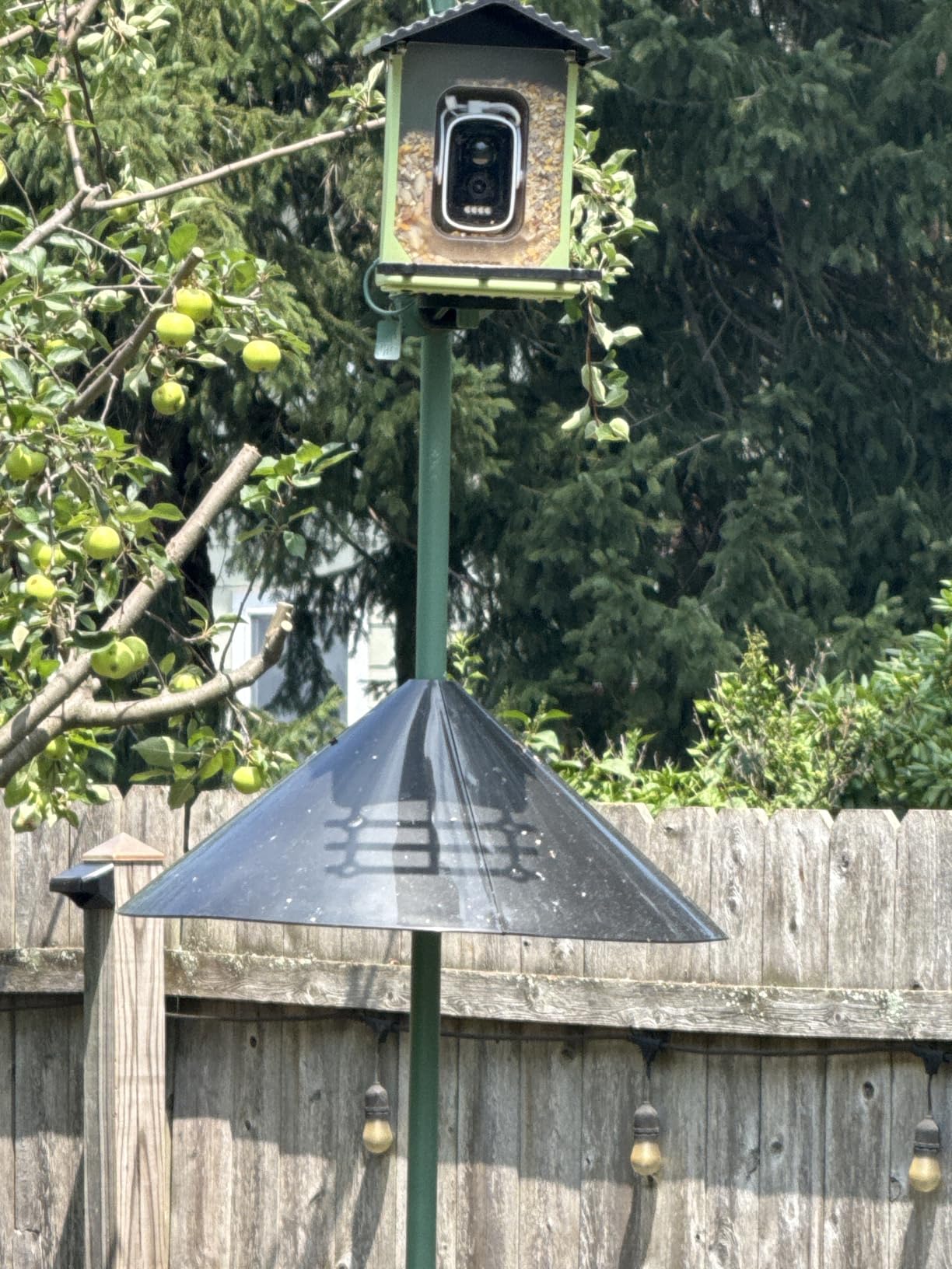 Garbuildman Squirrel Baffle for Bird Feeder Pole, Outside Pole Mount Bird House Guard for Outdoor Shepherd’s Hook, 19 Inch Diameter, 1 Pack customer photo 2