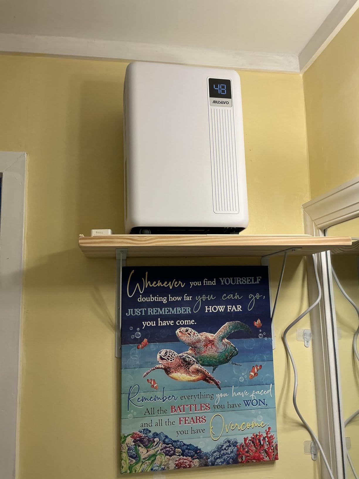 52 Pint Dehumidifier, 5000 Sq. ft Dehumidifier for Basement Large Room customer photo 2