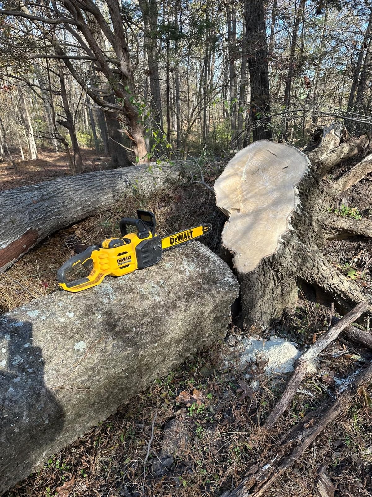 Dewalt Saw Chain BRUSHLESS Bare 18IN DCCS672B customer photo 2