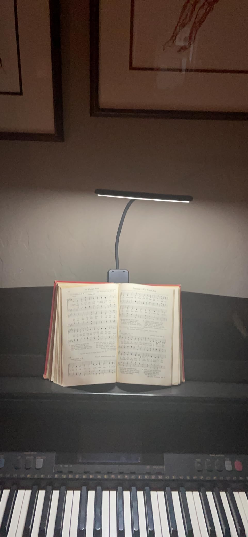 28 LED Music Stand Light, 1/2/4 Pack Clip on Piano Lights, Eye Caring & Blue Light Blocking, USB-C Rechargeable, 4 Color x 3 Brightness, Perfect for Musician, Piano, Keyboard, Orchestra customer photo 1