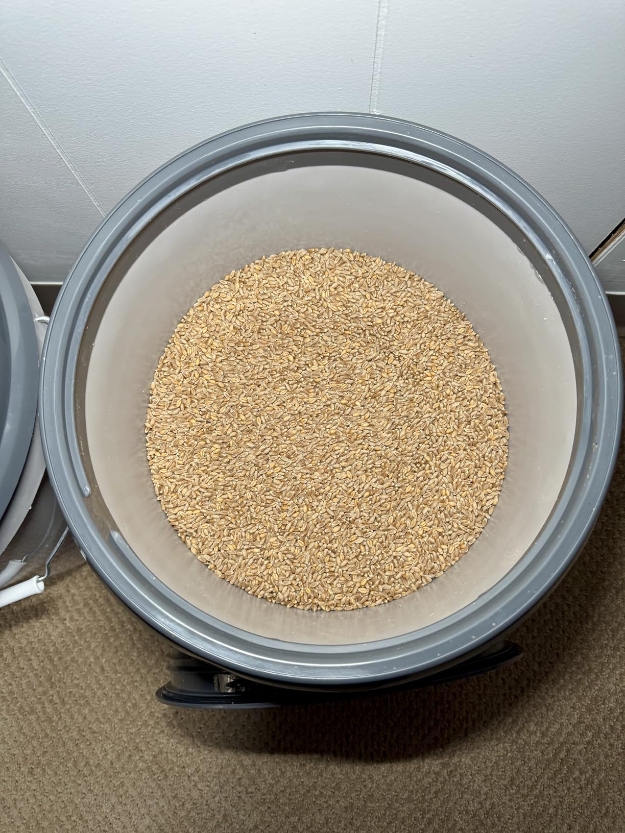 Mighty Tuff 5 Gallon / 21 Pound Pet Food Storage Container, Pack of 2 with Metal Handle and Airtight Lid to Lock in Freshness, Light Grey Base & Dark Grey Lid customer photo 1