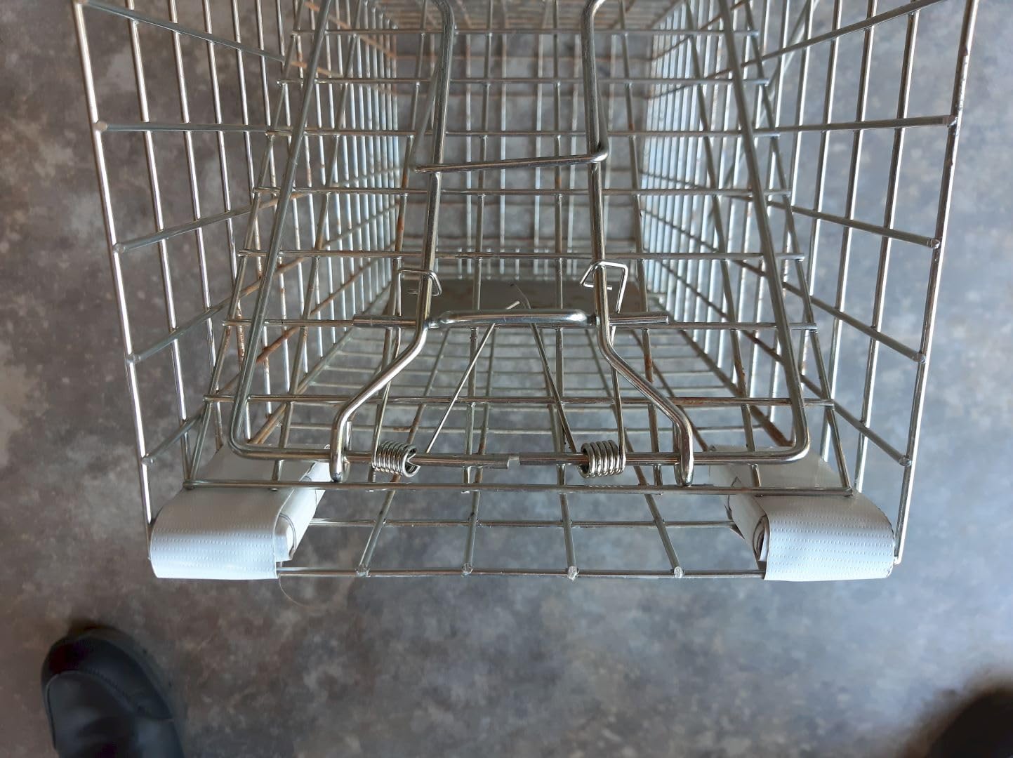 Humane Live Squirrel Cage Trap customer photo 2
