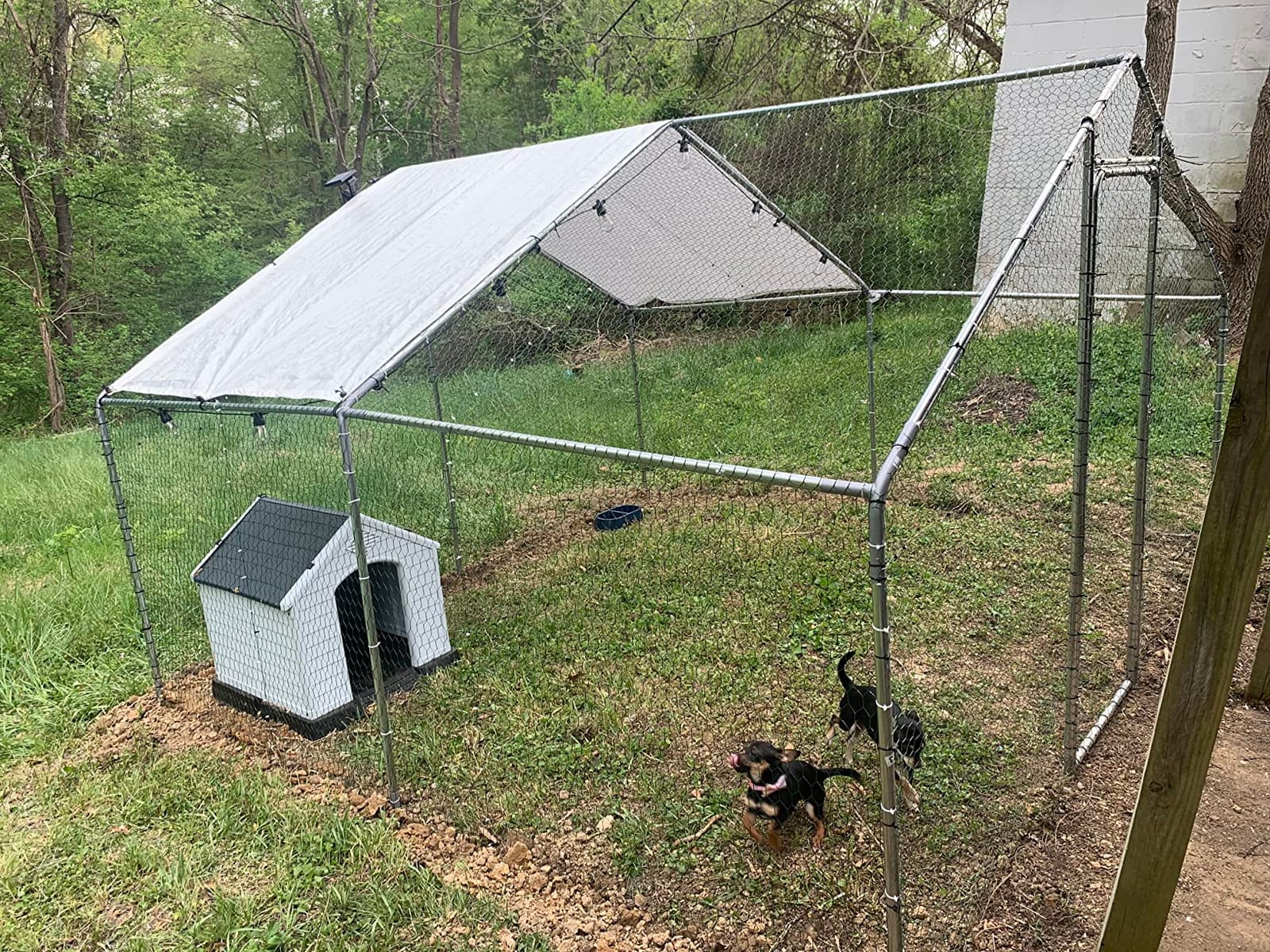 Large Metal Chicken Coop 10x10 Walk-in for 20 Chickens, Predator-Proof customer photo 2