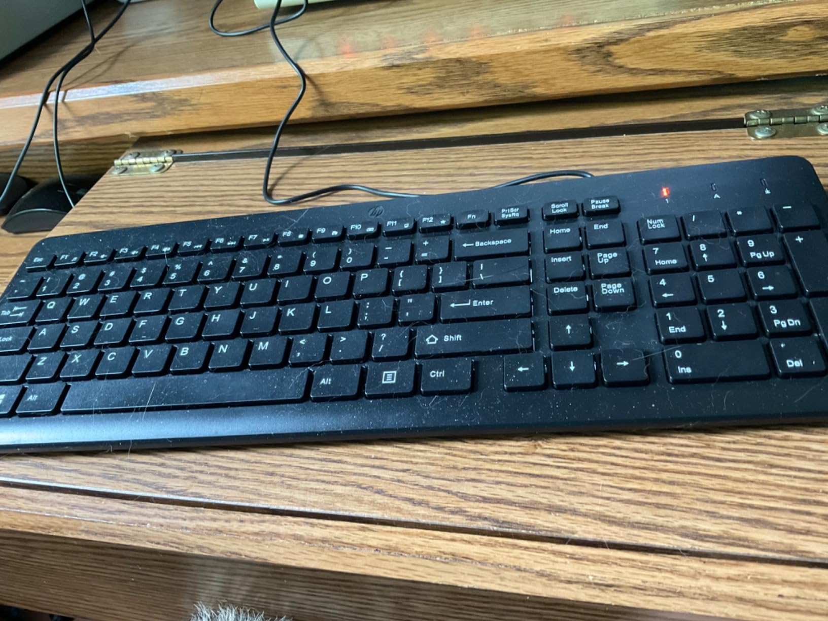 HP 150 Wired Keyboard - Full-Sized, Keyboard with Numeric Keypad customer photo 2