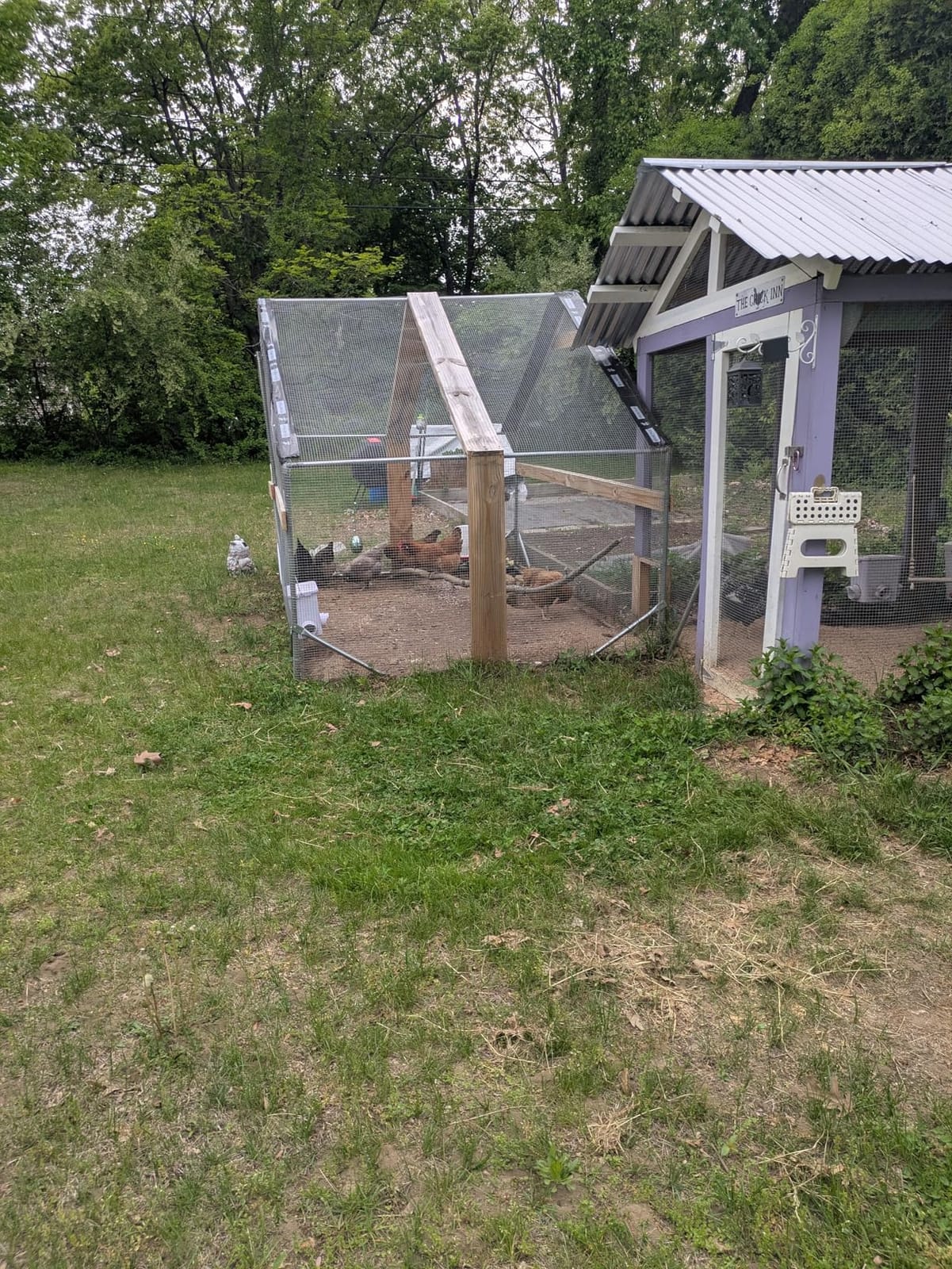 CHIKENCOOP 9.8 x 6.5 x 6.5 ft Metal Chicken Coop, Chicken Run with Cover customer photo 1