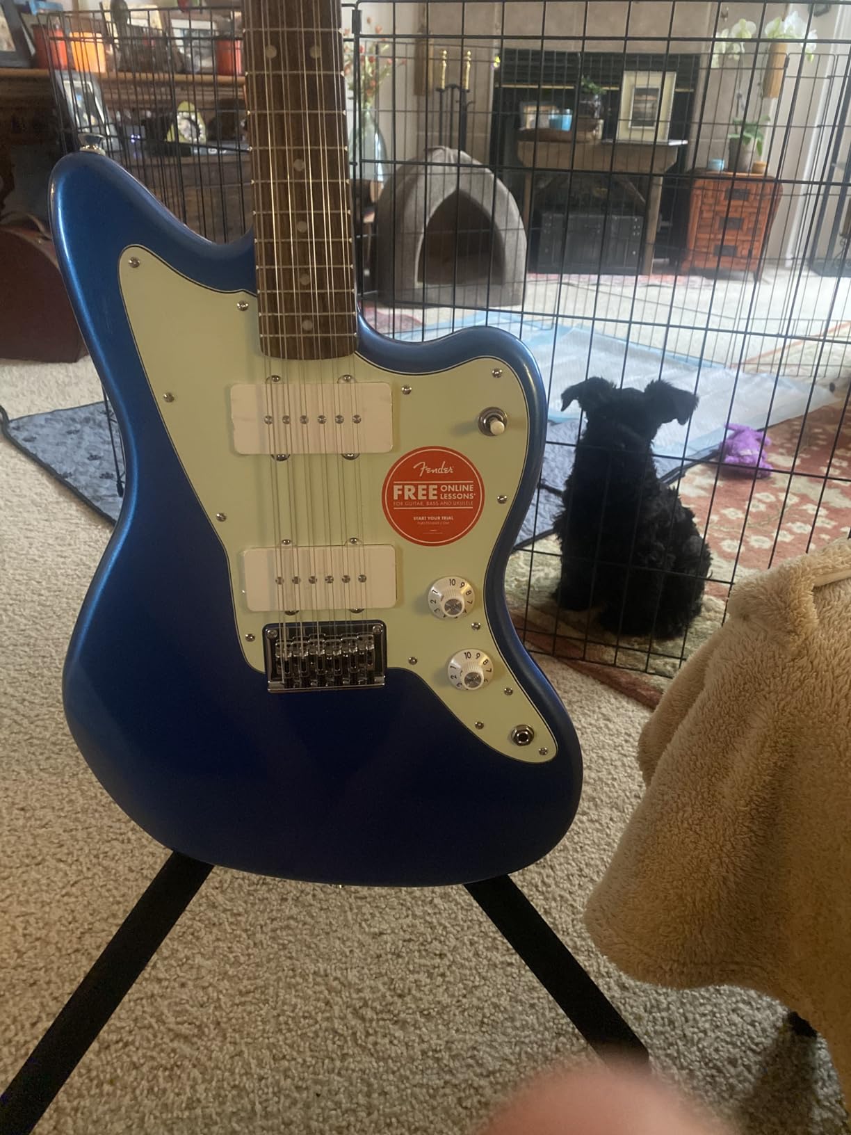 Fender Paranormal Jazzmaster XII, Laurel Fingerboard, Mint Pickguard, Lake Placid Blue customer photo 2