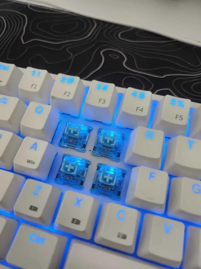 Akko V3 Creamy Blue Pro Keyboard Switch with Dustproof Stem for Mechanical Gaming Keyboard, 5-Pin 45gf Pre Lubed Tactile Key Switches (45pcs) customer photo 1