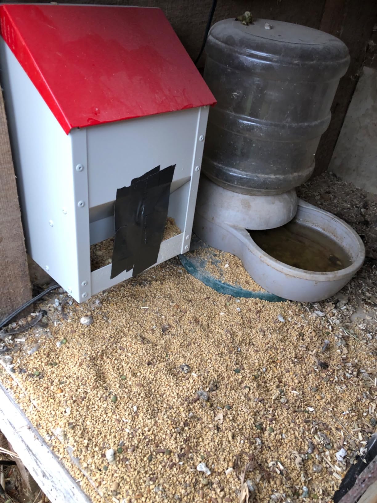 Galvanized Wall Mount Chicken Feeder No Waste Hanging Chicken Feeder with Lid Weatherproof Metal Automatic Poultry Feeder Trough Food Dispenser for Outside Coop (10 lbs) customer photo 2
