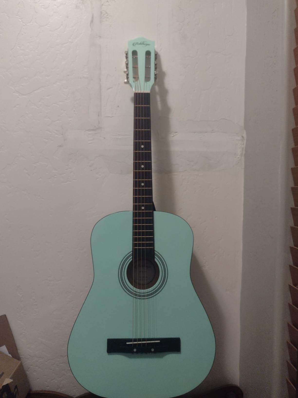 Ashthorpe 38-inch Beginner Acoustic Guitar (Pink), Starter Kit with Gig Bag, Extra Strings, Strap, Picks, and Lessons customer photo 1