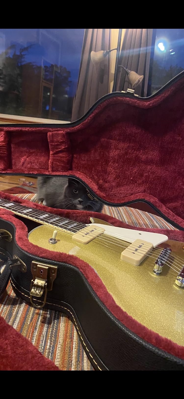 Crossrock Les Paul Electric Guitar Case - Vintage Hardware, Sponge Lining, Metal Feet, Storage Space - Black (CRW520LBK) customer photo 1