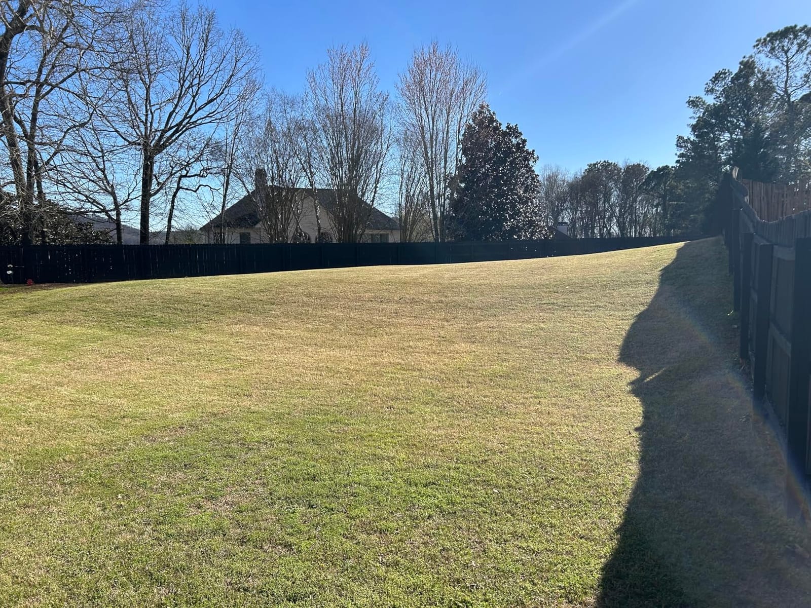 LawnMaster 48V MAX 19-inch Brushless Cordless Lawn Mower, CLMF4819X customer photo 1