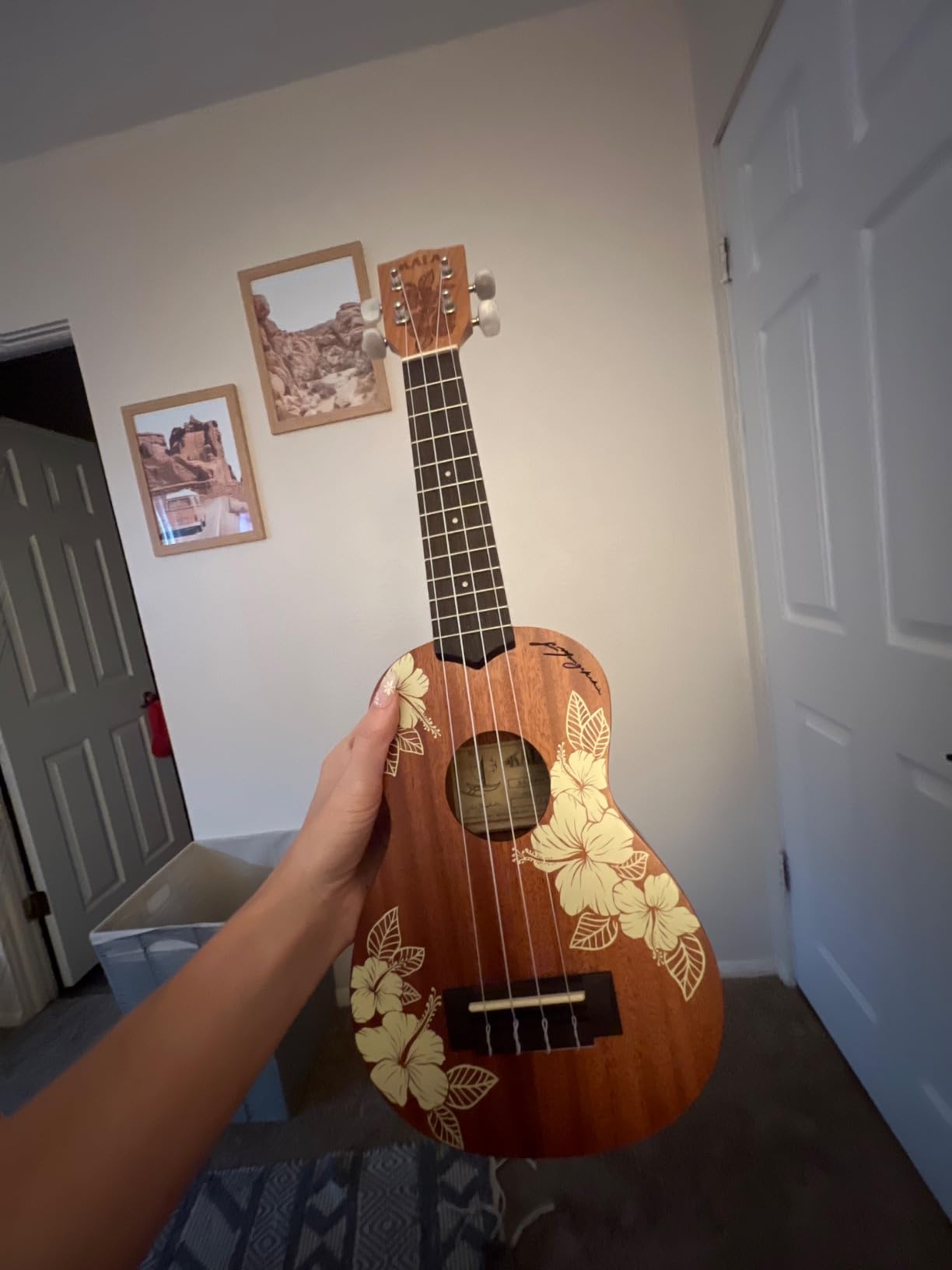 Kala Voyage Collection Hibiscus Concert Ukulele customer photo 1