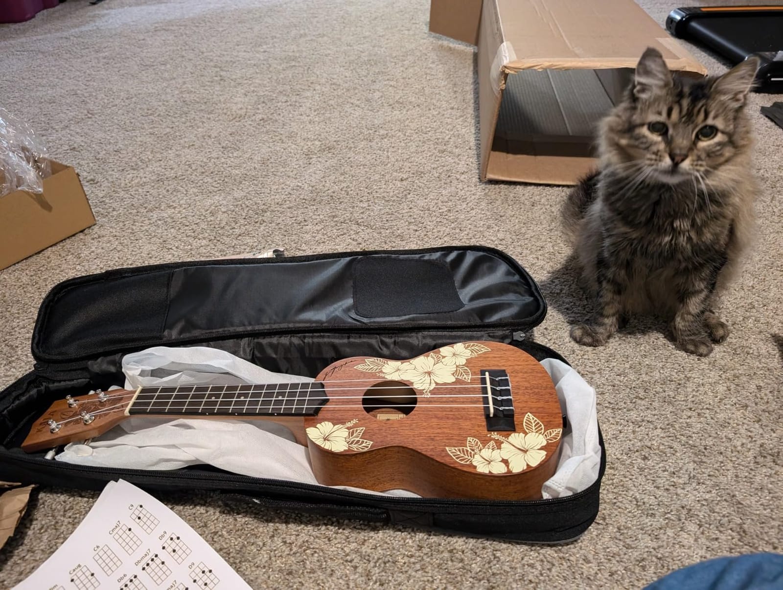 Kala Voyage Collection Hibiscus Concert Ukulele customer photo 2
