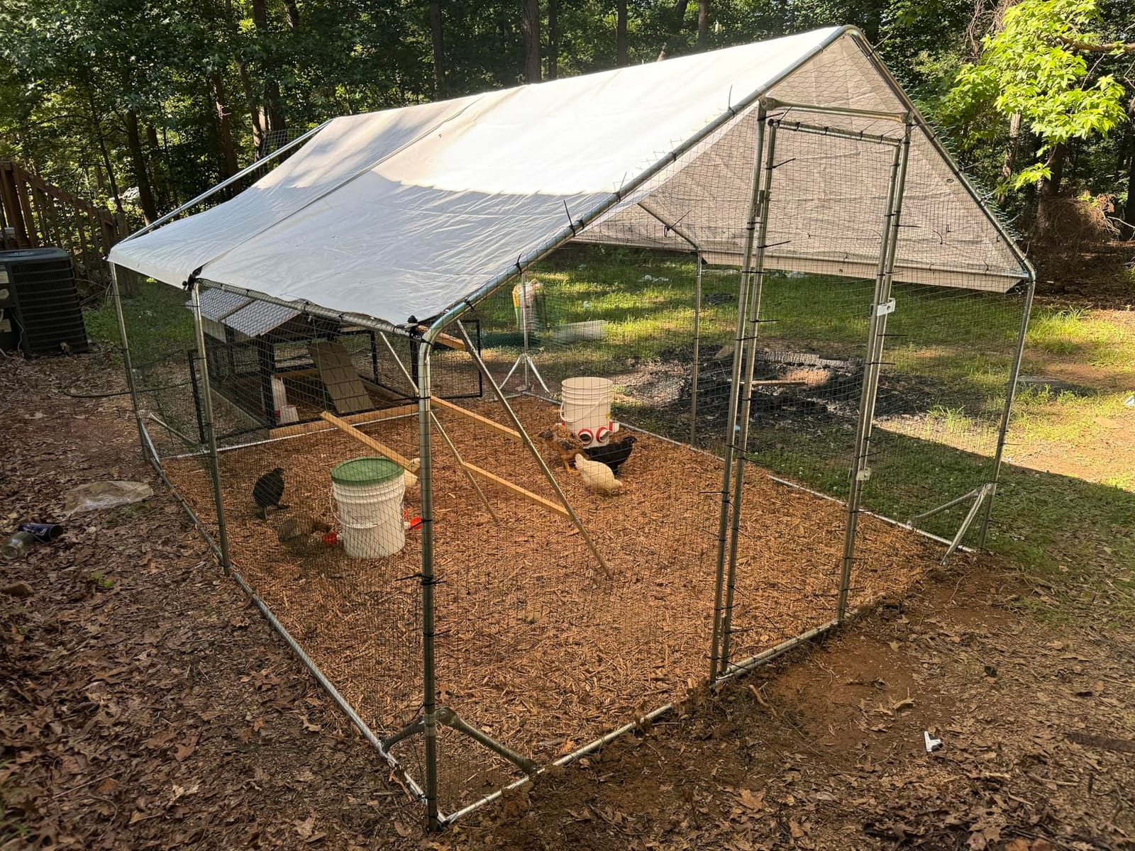 Quictent Large Metal Chicken Coop Run for 20+ Poultry w/Metallic Perch customer photo 2