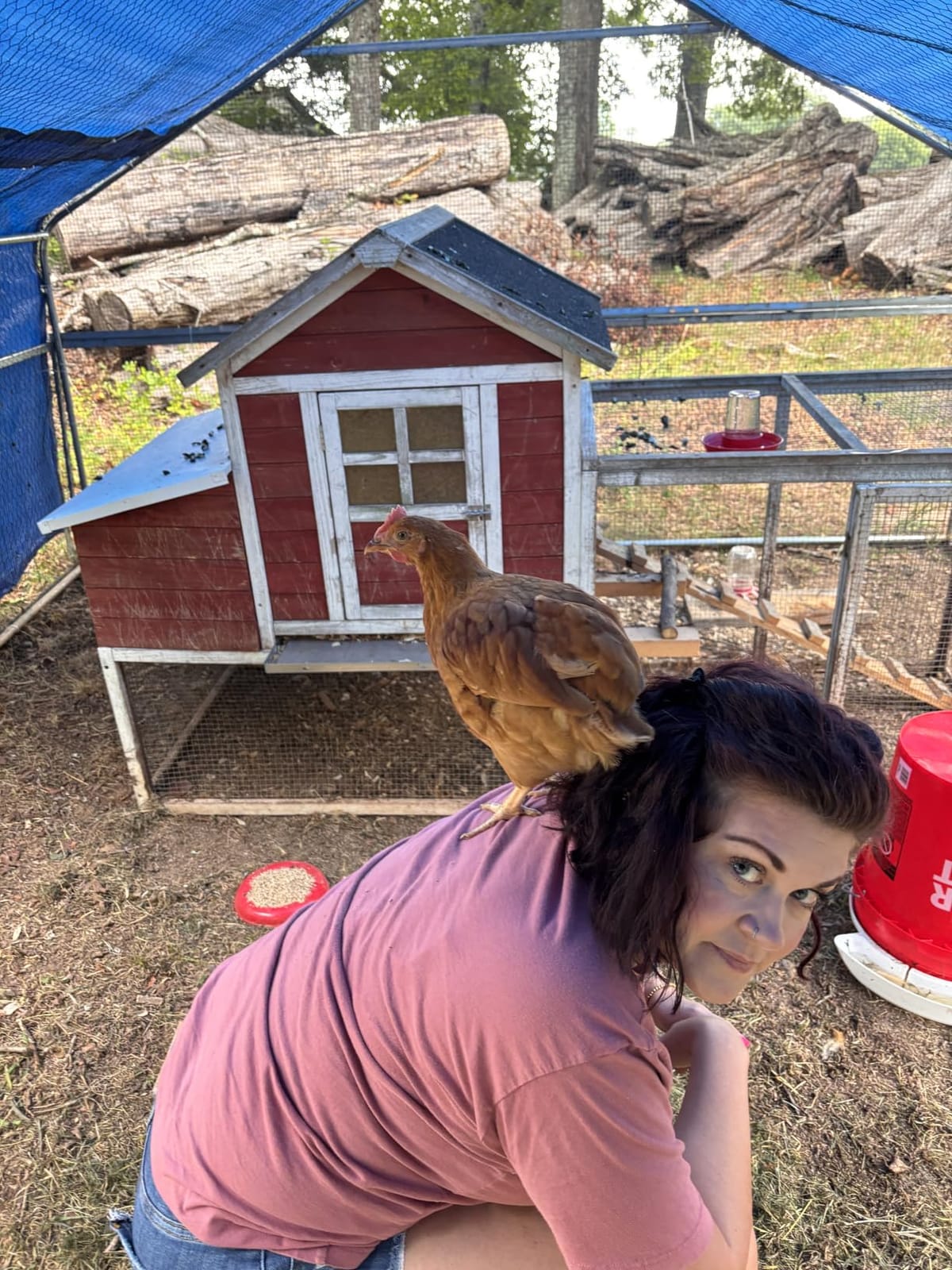 Poultry Pro Chicken Waterer for 5 Gallon Bucket, (Bucket Not Included) customer photo 1