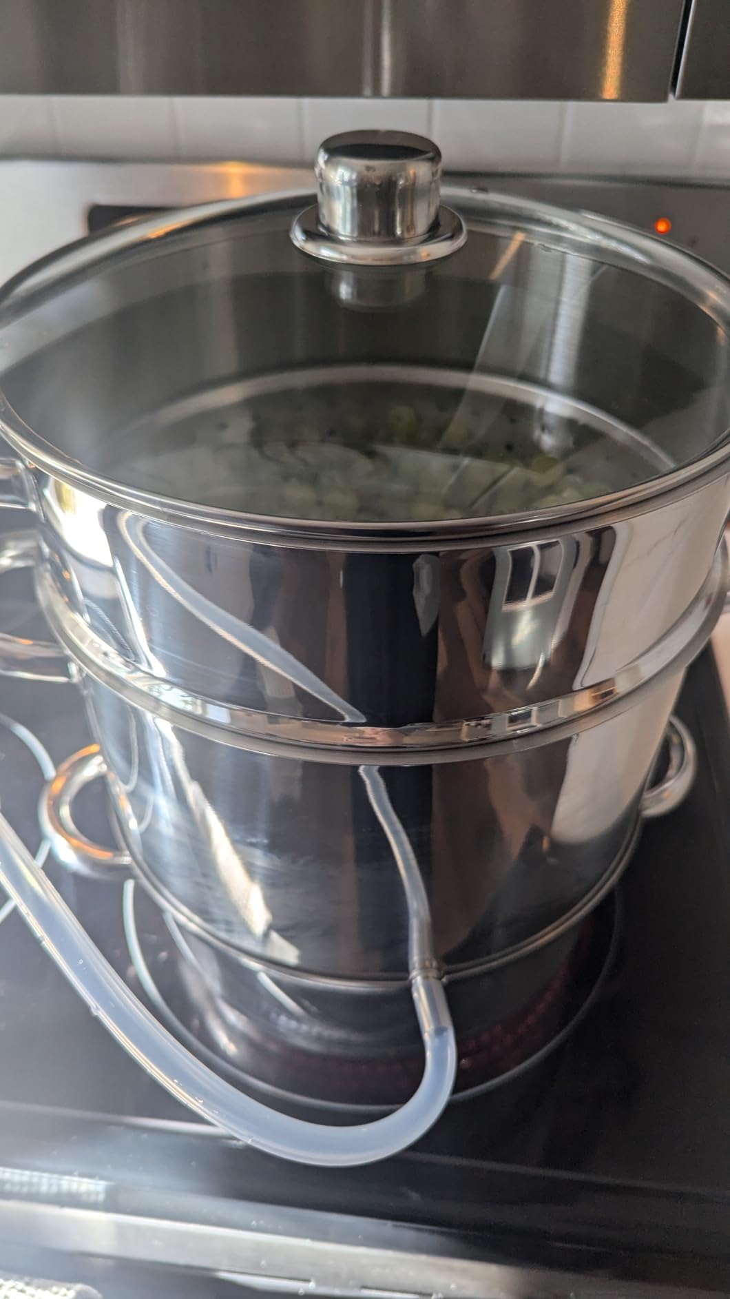 VIVOHOME Stainless Steel Steam Juicer for Canning Fruit and Grape Juice customer photo 1