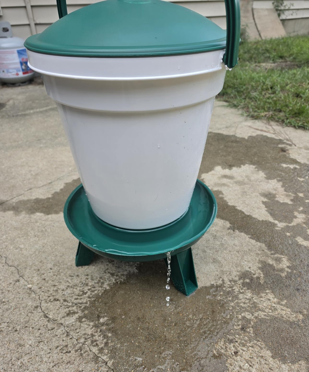 Premier 1 Quick Clean Bucket Waterer for Chickens – 5 Gallon, with Legs customer photo 1
