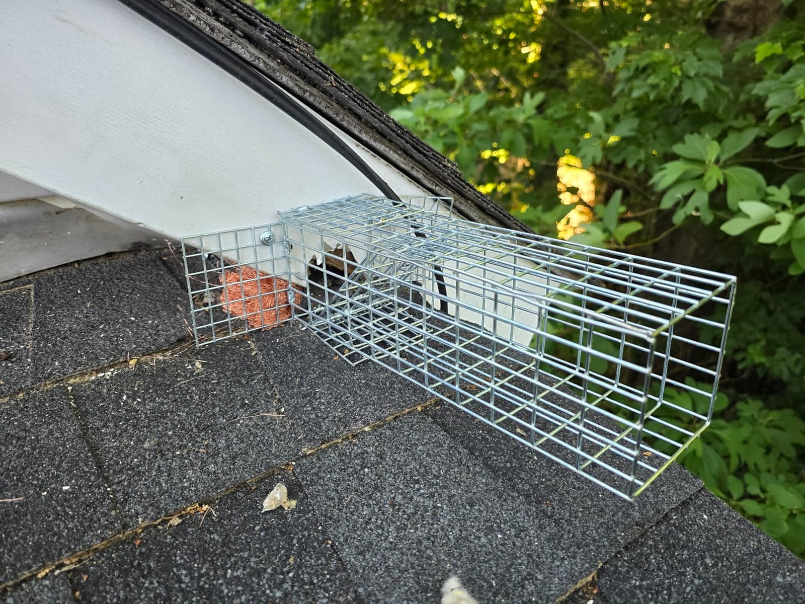 One Way Squirrel Door Excluder, Humane Squirrels, Chipmunks Contactless Excluder, for Outdoor Spaces Like Attics, Chimneys - Includes Full Installation Kit customer photo 1