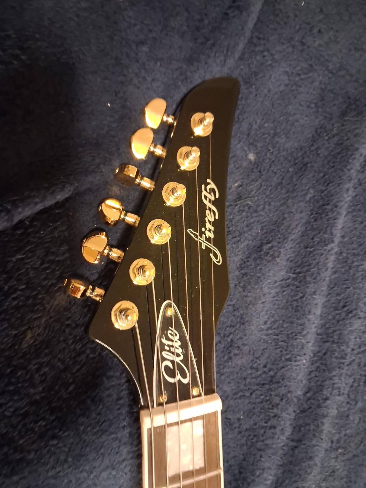 Firefly FFLX Solid Body Electric Guitar, Mahogany Guitar body, Stainless steel and ball end frets, rosewood fretboard (Black Color) customer photo 1