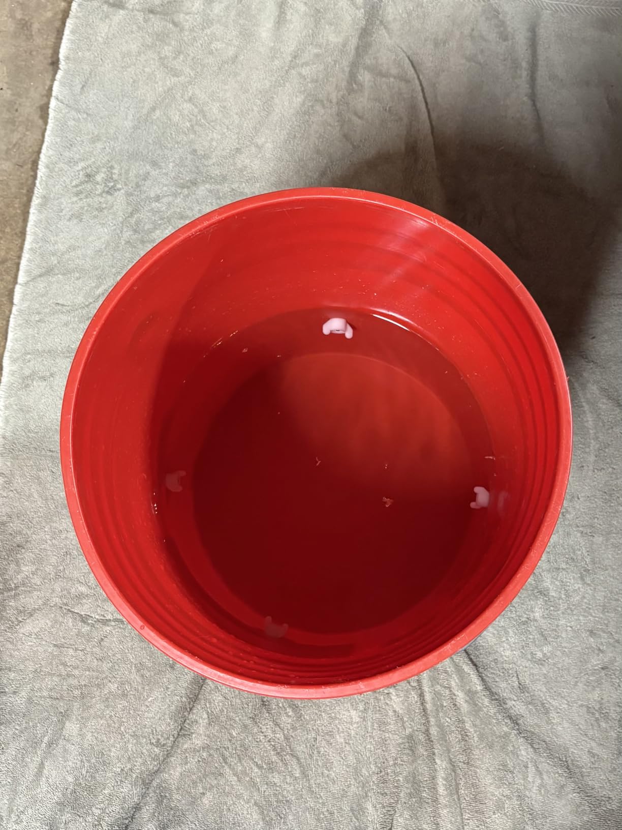 Automatic Chicken Waterer Nipples with Drill Bit (20 Pack Red) customer photo 1
