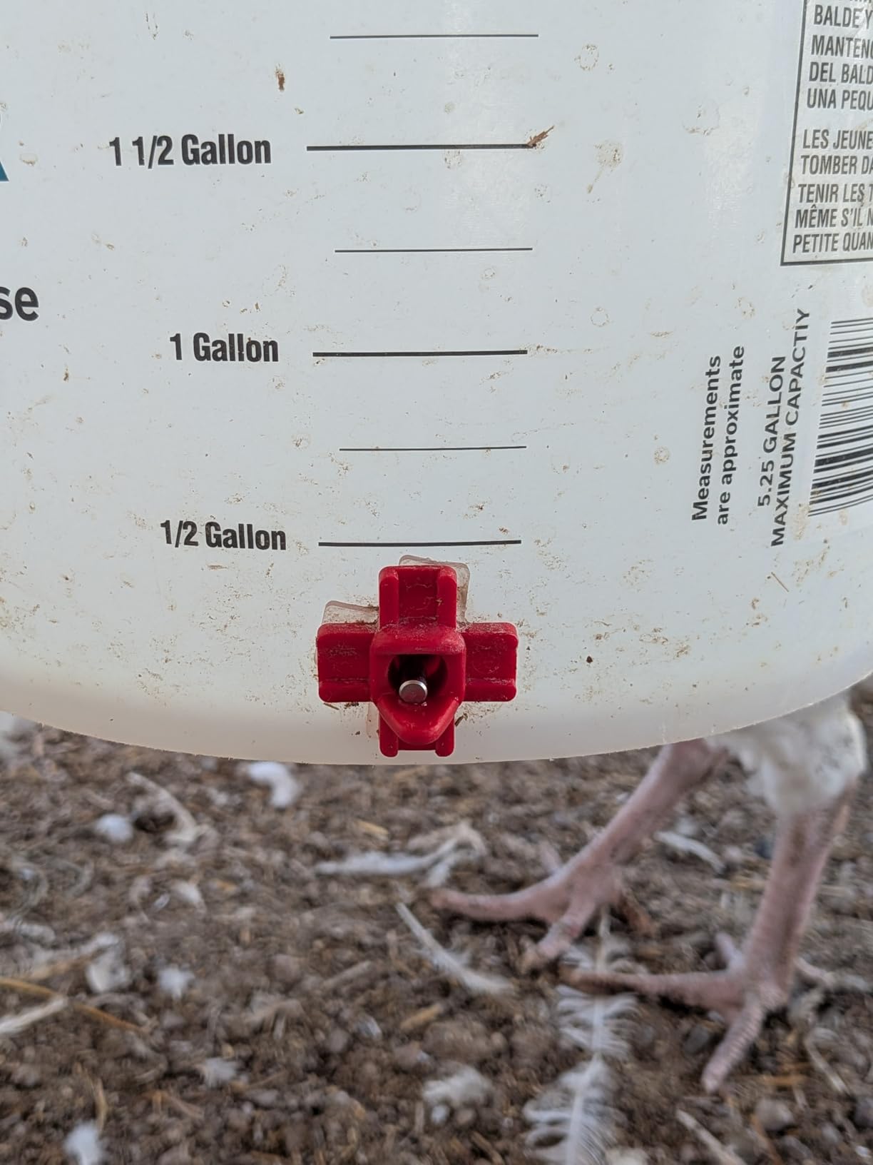 Automatic Chicken Waterer Nipples with Drill Bit (20 Pack Red) customer photo 2