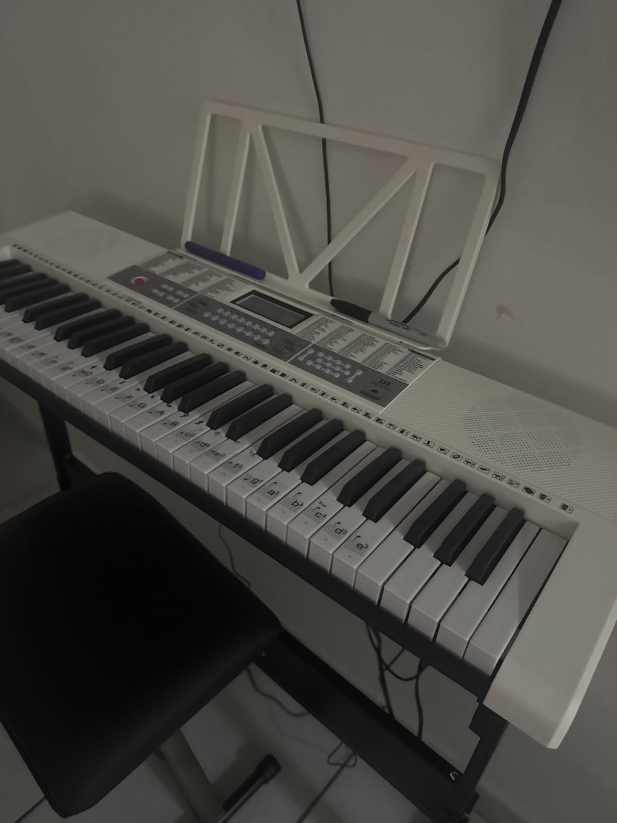 MUSTAR Keyboard Piano, 61 Key Electric Piano Keyboard with Light-Up Keys | 255 Tones/Rhythms, Smart Learning System, Headphone, Microphone, Keyboard Stand, Stool, Stickers, Piano Keyboard Set for Beginners customer photo 1