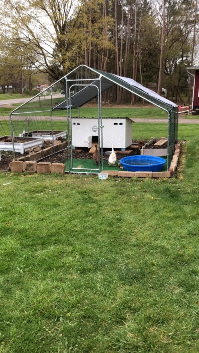 19.7x10 FT Extra Large Metal Chicken Coop, Walk-in Poultry Run Pen customer photo 1