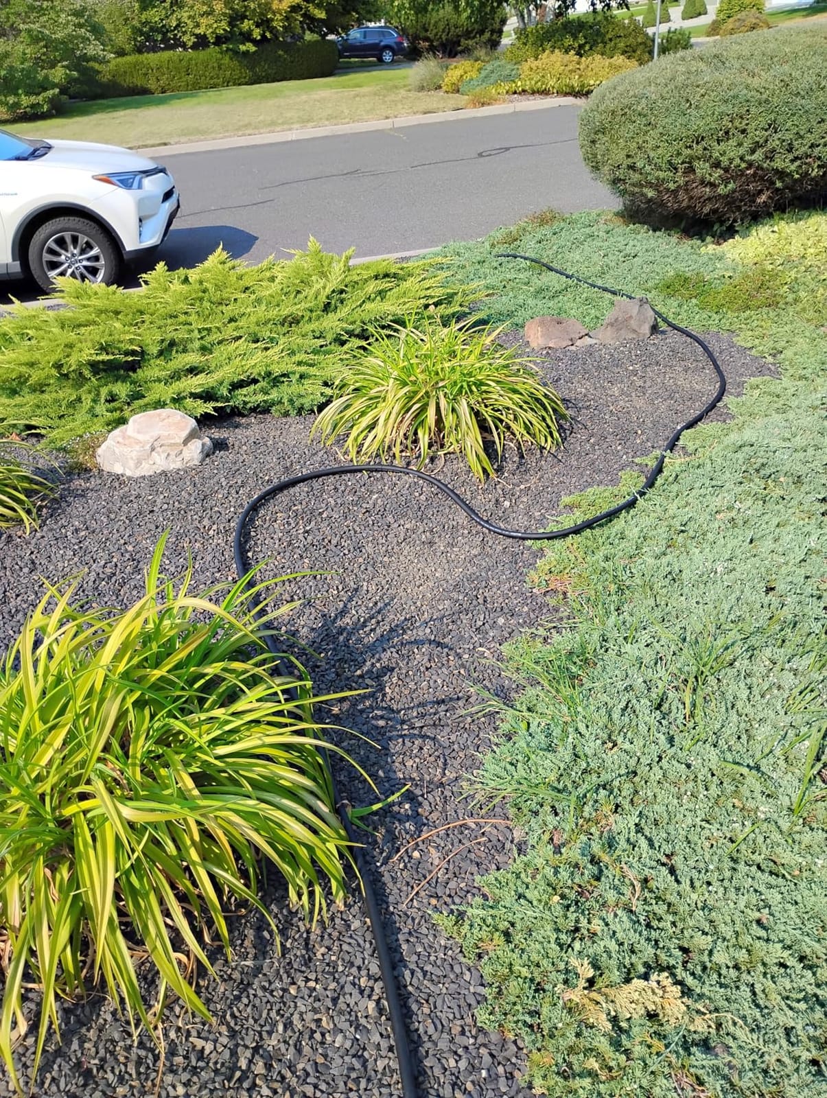 Wiseflow Garden Hose 50FT x 3/4