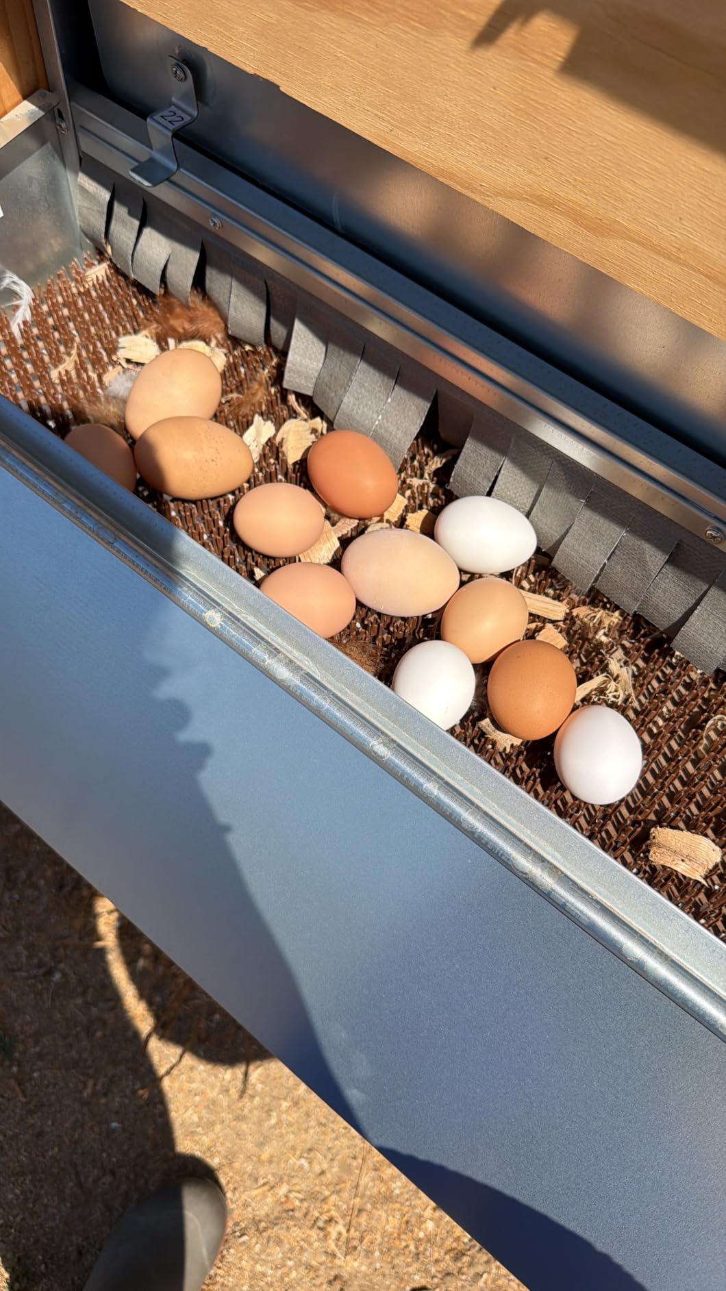 Redants Chicken Nesting Box, Metal Chicken Laying Box with Roll Away Egg Collection, Reversible Wall Mountable Chicken Coop Nesting Boxes for Hens, Ducks, Waterproof, 24